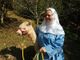 L'alpaca Joy è grave ma ancora vivo: se supererà la notte verrà operato alla clinica veterinaria di Grugliasco
