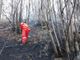 Cessa l'emergenza per gli incendi boschivi Cessa l'emergenza per gli incendi boschivi