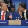 Nato, Rutte primo fan di Trump: &quot;Grazie al 'paparino' stop alla guerra&quot;