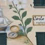 A Santa Vittoria d’Alba il botanico Bertero diventa "street art" A Santa Vittoria d’Alba il botanico Bertero diventa "street art"