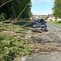 Vento forte con raffiche sino a 75 km/h in diverse zone della provincia. Numerosi gli interventi dei Vigili del fuoco per la caduta di alberi e rami Vento forte con raffiche sino a 75 km/h in diverse zone della provincia. Numerosi gli interventi dei Vigili del fuoco per la caduta di alberi e rami