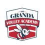 PALLAVOLO / Asd Granda Volley Academy presenta la nuova identità: l'ape, simbolo di una comunità che cresce insieme
