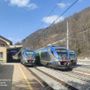 Ferrovia del Tenda, il bilancio dell'Osservatorio tra disservizi sui bus e bagni inagibili sui treni Ferrovia del Tenda, il bilancio dell'Osservatorio tra disservizi sui bus e bagni inagibili sui treni