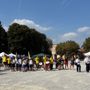 Cherasco celebra la solidarietà: debutta la "Festa del Volontariato" Cherasco celebra la solidarietà: debutta la "Festa del Volontariato"