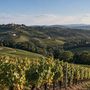 Turismo del vino, tabUi tra i tre progetti più innovativi d’Europa secondo Un Tourism Turismo del vino, tabUi tra i tre progetti più innovativi d’Europa secondo Un Tourism