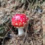 Un esemplare di Amanita Muscaria, non commestibile