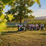 Al via le iscrizioni per l'Hazelnut Agronomy Program Al via le iscrizioni per l'Hazelnut Agronomy Program