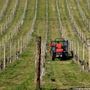 Agricoltura e sfruttamento del lavoro, le problematiche presentate dalle associazioni di categorie