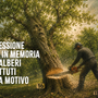 Monteu Roero, protesta per i castagni abbattuti: "funerale" simbolico tra le Rocche Monteu Roero, protesta per i castagni abbattuti: "funerale" simbolico tra le Rocche