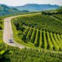 MOTORI / Le colline UNESCO abbracciano il Rally Regione Piemonte MOTORI / Le colline UNESCO abbracciano il Rally Regione Piemonte