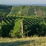 L'estate del turismo di prossimità in Langa, Roero e Monferrato per un ritorno alle radici L'estate del turismo di prossimità in Langa, Roero e Monferrato per un ritorno alle radici