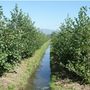 Gestione dell'acqua, Confagricoltura Piemonte rilancia le aree di infiltrazione Gestione dell'acqua, Confagricoltura Piemonte rilancia le aree di infiltrazione