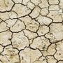 Confagricoltura Piemonte: più risorse per credito agrario e cooperative contro la siccità Confagricoltura Piemonte: più risorse per credito agrario e cooperative contro la siccità