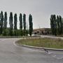 Pioppi da abbattere nell'area industriale di Montà, Italia Nostra: &quot;Si proceda con cautela&quot;