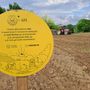 Con il progetto +Api  a Piozzo: un’oasi fiorita per la biodiversità