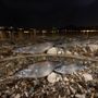 Cuneo, alla Casa del Fiume Fabrizio Moglia e le sue immagini &quot;Natura 360°&quot;