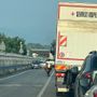 La mucca sulla SS28 che sta creando disagi alla circolazione