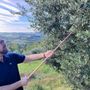 Marco Giachino, presidente del Consorzio per la tutela dell’olio extravergine di oliva Piemonte