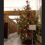 L'albero di Natale donato dalla Walden posto a Montecitorio a Palazzo San Macuto, dalla Biblioteca della Camera dei Deputati, per tutta la durata delle feste
