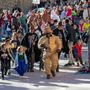 L'Orso di Segale fugge da Domatori e Fra durante il Carnevale alpino di Valdieri - fotografia di  F. Parracone