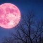 Luna piena rosa sul Maira, a Racconigi una camminata notturna lungo il sentiero fluviale