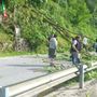 Forte vento ieri in valle Bronda: grosso arbusto cade sulla provinciale tra Pagno e Brondello