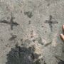 Le incisioni rupestri sul Mombracco