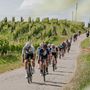 Oggi è giorno della mediofondo e della Granfondo alla Bra-Bra Fenix Oggi è giorno della mediofondo e della Granfondo alla Bra-Bra Fenix