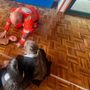 Gli alunni della primaria di Sale delle Langhe a lezione di primo soccorso Gli alunni della primaria di Sale delle Langhe a lezione di primo soccorso