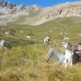 Domani la Valle Maira darà l'ultimo saluto a Michele, morto a soli 21 anni
