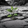 Ad Alba il docufilm: “La terra che Cambia The changing Land” Ad Alba il docufilm: “La terra che Cambia The changing Land”
