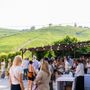 Arte, paesaggio e comunità: Langhe in fermento con “Nuove Connessioni” e “La collina sale sempre”