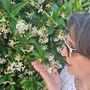 Profumo d’estate con la fragranza inebriante e seducente del gelsomino