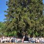 Un pomeriggio speciale alla Scuola Primaria di Ceva: emozioni in musica con “Scuola… che Banda!”