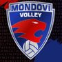 VOLLEY FEMMINILE / Mondovì, entro il 3 luglio il verdetto sul ripescaggio in A3