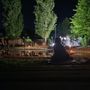 A Cuneo una serata di jazz dal vivo con "Quando il lago canta" A Cuneo una serata di jazz dal vivo con "Quando il lago canta"
