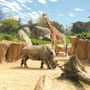 Sant’Albano Stura e Trinità: fino al 31 agosto i residenti potranno visitare gratis il bioparco Zoom di Cumiana Sant’Albano Stura e Trinità: fino al 31 agosto i residenti potranno visitare gratis il bioparco Zoom di Cumiana