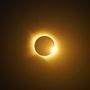 Eclissi di sole (Foto Pietro Castellino)