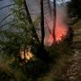 Fulmine provoca un incendio nei boschi sopra Valdieri: intervento nella notte di Vigili del Fuoco e Aib [FOTO]