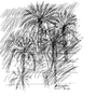 All'ombra delle palme tagliate: a Ormea la le poesie di Marino Magliani e i disegni Sergio Biancheri All'ombra delle palme tagliate: a Ormea la le poesie di Marino Magliani e i disegni Sergio Biancheri