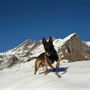 Zen Pastore Belga delle unità cinofile del Soccorso Alpino "Moniso" Zen Pastore Belga delle unità cinofile del Soccorso Alpino "Moniso"