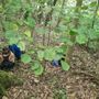 Ormea scopre il Bagno di Foresta: un’esperienza di benessere nel cuore dell’Alta Val Tanaro Ormea scopre il Bagno di Foresta: un’esperienza di benessere nel cuore dell’Alta Val Tanaro