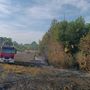 Chiusa Pesio, vasto incendio di sterpaglie in Regione Vigne Soprane: intervenuti quattro mezzi Chiusa Pesio, vasto incendio di sterpaglie in Regione Vigne Soprane: intervenuti quattro mezzi