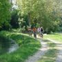 Parco Fluviale Gesso e Stura: via libera al progetto per la messa in sicurezza del percorso ciclo-naturalistico tra Madonna della Riva e Ronchi Parco Fluviale Gesso e Stura: via libera al progetto per la messa in sicurezza del percorso ciclo-naturalistico tra Madonna della Riva e Ronchi