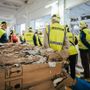 Vedere come nasce la carta: il 17 ottobre Smurfit Westrock apre le porte dello stabilimento di Verzuolo