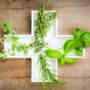 Non convenzionali, non improvvisate: le medicine integrative si presentano ai cittadini a Cuneo Non convenzionali, non improvvisate: le medicine integrative si presentano ai cittadini a Cuneo