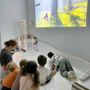 Esperienze sensoriali e inclusione: la sala Snoezelen di Frassino accoglie la scuola dell'infanzia di Sampeyre e il Centro "Le Nuvole" Esperienze sensoriali e inclusione: la sala Snoezelen di Frassino accoglie la scuola dell'infanzia di Sampeyre e il Centro "Le Nuvole"