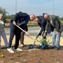 La piantumazione dell'ulivo nella rotatoria di via Otteria La piantumazione dell'ulivo nella rotatoria di via Otteria