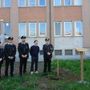 La piantumazione dell'Albero della Salute davanti all'Ospedale di Saluzzo La piantumazione dell'Albero della Salute davanti all'Ospedale di Saluzzo