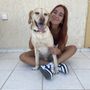 Animali di casa, tutti i servizi in un’unica app